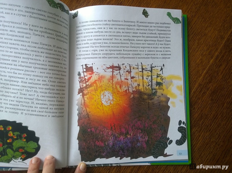 Иллюстрация 20 из 25 для Грибабушка, или Немножко колдовства - Андрей Зинчук | Лабиринт - книги. Источник: jacaranda