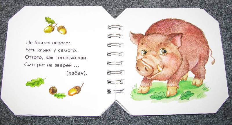 Иллюстрация 9 из 13 для Кто в лесу живет - А. Геращенко | Лабиринт - книги. Источник: Апельсинка