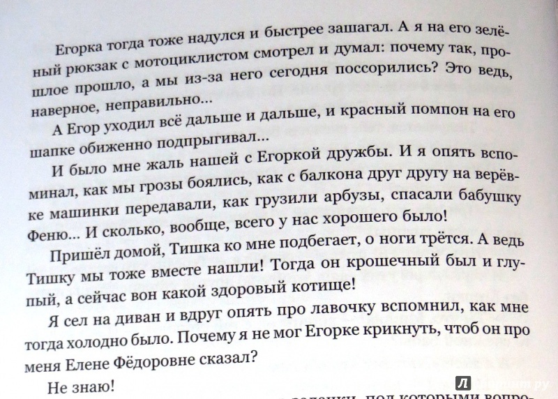 Иллюстрация 49 из 60 для Похититель домофонов - Елена Ракитина | Лабиринт - книги. Источник: Урвилов  Вячеслав