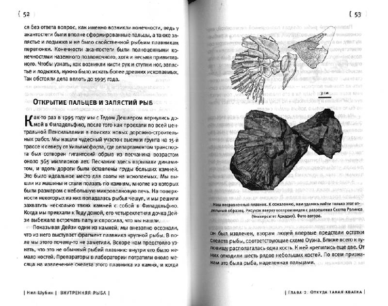 Иллюстрация 22 из 27 для Внутренняя рыба: История человеческого тела с древнейших времен до наших дней - Нил Шубин | Лабиринт - книги. Источник: OOlga
