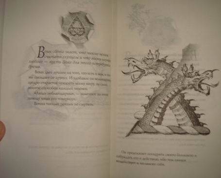 Иллюстрация 5 из 6 для Книга воина света - Пауло Коэльо | Лабиринт - книги. Источник: lettrice