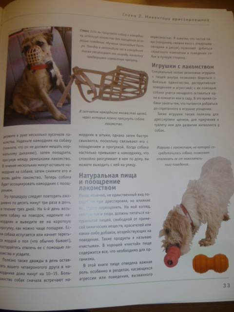 Иллюстрация 28 из 42 для Как отучить собаку от вредных привычек - Колин Теннант | Лабиринт - книги. Источник: Avid Reader
