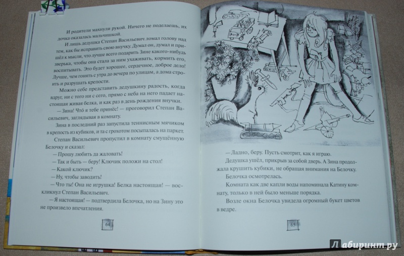 Иллюстрация 26 из 27 для Девочка и белочка - Павел Катаев | Лабиринт - книги. Источник: Книжный кот