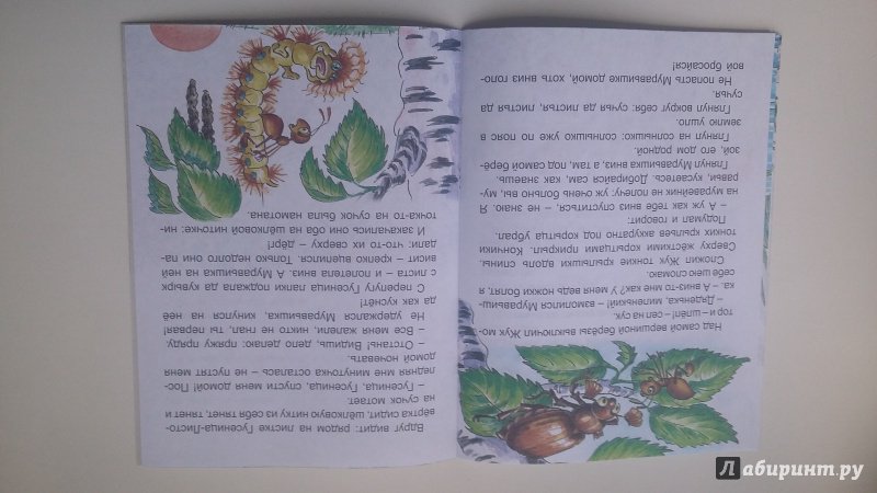 Иллюстрация 5 из 20 для Как муравьишка домой спешил - Виталий Бианки | Лабиринт - книги. Источник: Земляничка