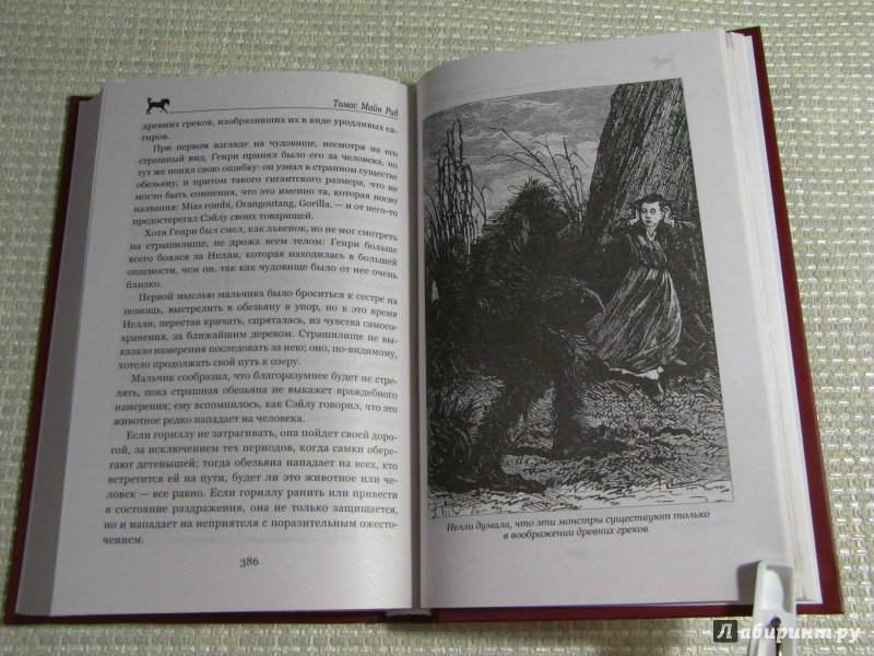 Иллюстрация 14 из 55 для Морской волчонок, или на дне трюма. Скитальцы Борнео, или Капитан Редвуд - Рид Майн | Лабиринт - книги. Источник: leo tolstoy