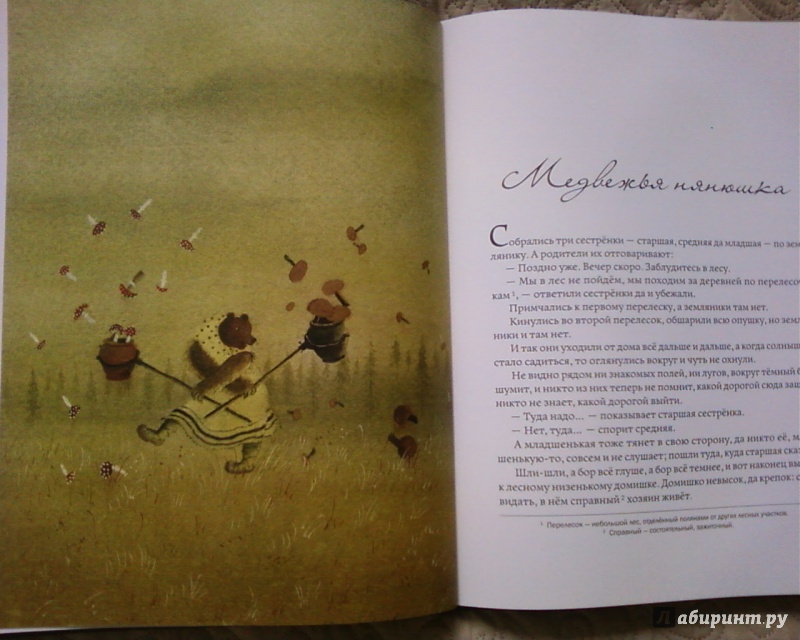 Иллюстрация 18 из 80 для Дверь на лугу. Коми-пермяцкие сказки | Лабиринт - книги. Источник: Родионова  Надежда