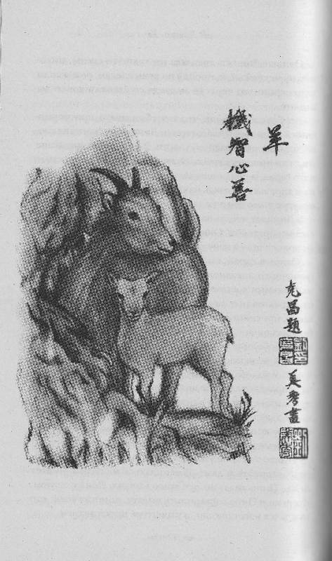 Иллюстрация 8 из 15 для Китайские гороскопы для ваших детей - Теодора Лау | Лабиринт - книги. Источник: Наталья Плотникова