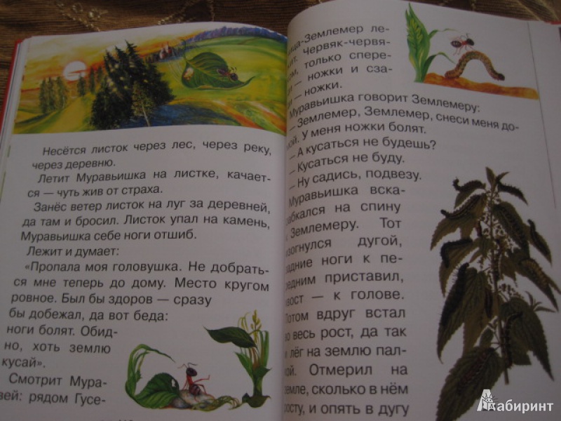 Иллюстрация 10 из 62 для Сказки и рассказы о животных - Виталий Бианки | Лабиринт - книги. Источник: Книгомама