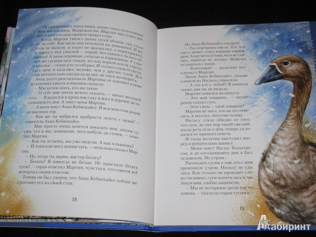 Иллюстрация 23 из 30 для Чудесное путешествие Нильса с дикими гусями - Сельма Лагерлеф | Лабиринт - книги. Источник: Nemertona