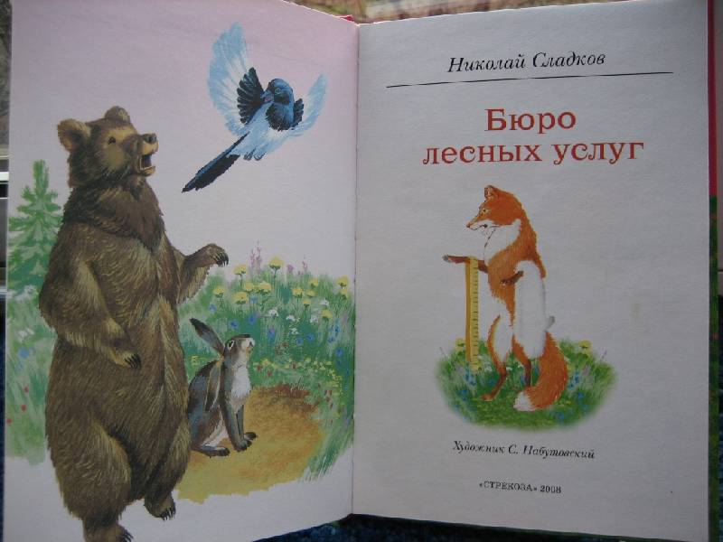 Иллюстрация 3 из 8 для Бюро лесных услуг - Николай Сладков | Лабиринт - книги. Источник: Трухина Ирина