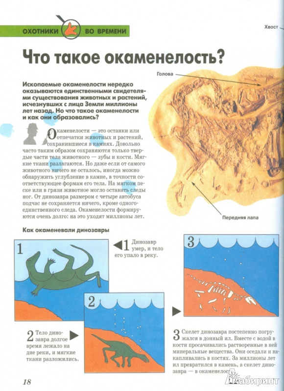 Иллюстрация 9 из 12 для Динозавры | Лабиринт - книги. Источник: Телицына  Ольга