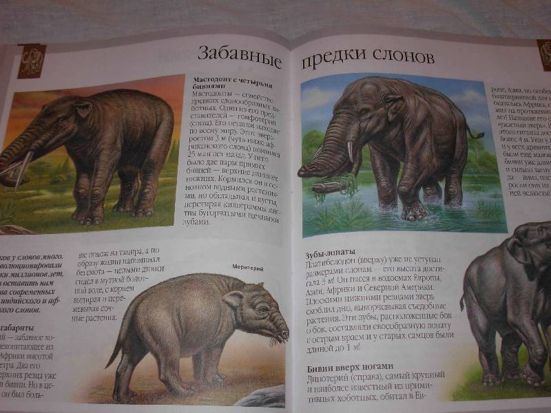 Иллюстрация 2 из 28 для Динозавры и другие исчезнувшие животные - Лора Камбурнак | Лабиринт - книги. Источник: --- Гера ---