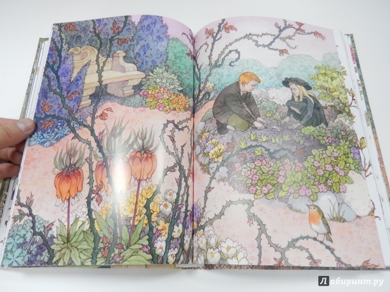 Иллюстрация 16 из 64 для Таинственный сад - Фрэнсис Бёрнетт | Лабиринт - книги. Источник: dbyyb