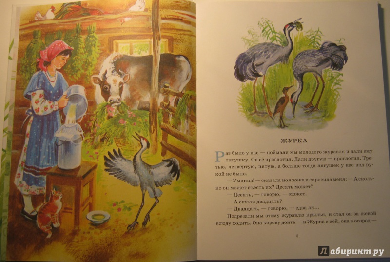 Иллюстрация 60 из 78 для Охота за бабочкой - Михаил Пришвин | Лабиринт - книги. Источник: leontyua