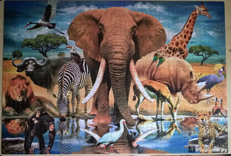 Иллюстрация 1 из 14 для Step Puzzle-1500 "В мире животных" (83042) | Лабиринт - игрушки. Источник: Козлова  Наталья