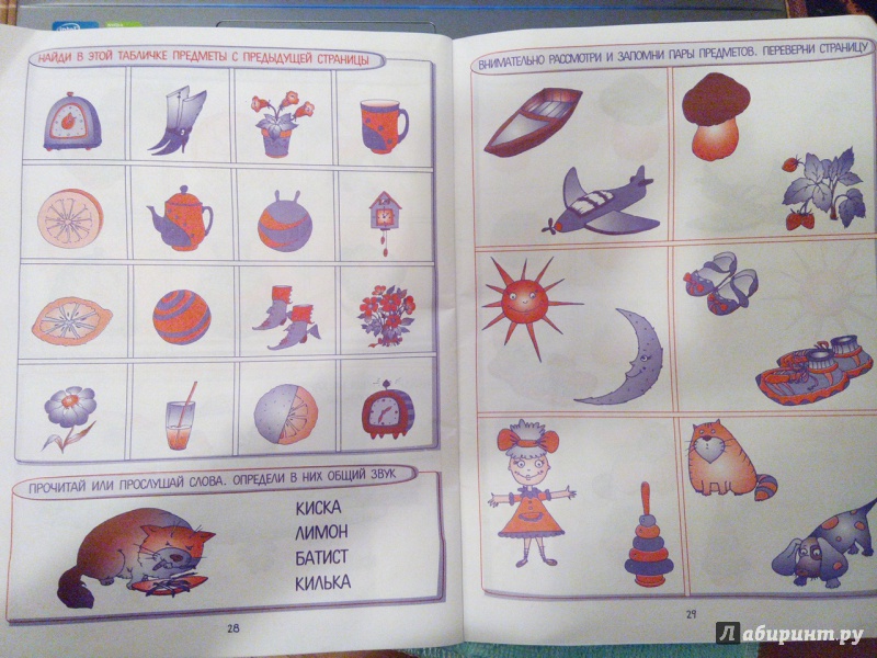Иллюстрация 5 из 13 для 30 уроков развития внимания и памяти | Лабиринт - книги. Источник: legenda.kz