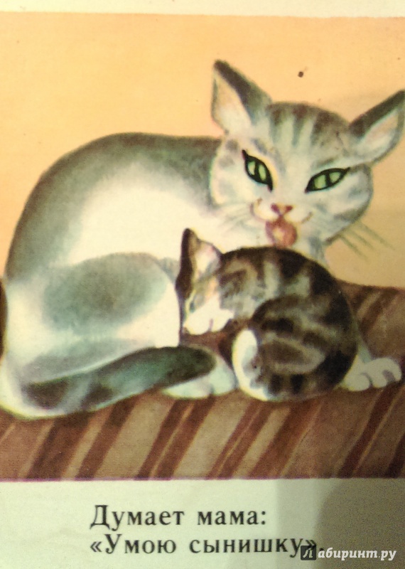 Иллюстрация 21 из 24 для Котёнок - Сергей Михалков | Лабиринт - книги. Источник: Nota B