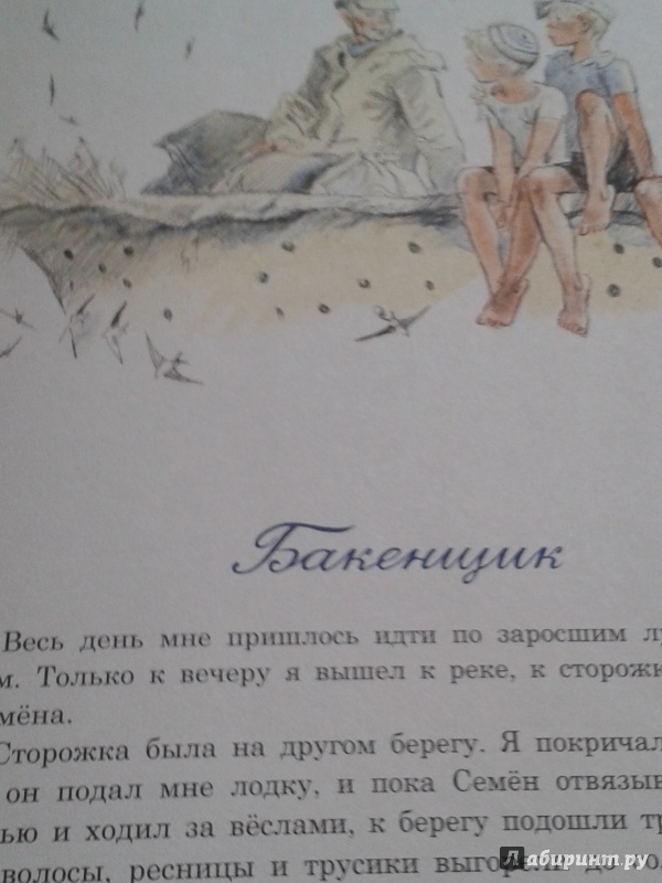 Иллюстрация 28 из 34 для Бабушкин сад - Константин Паустовский | Лабиринт - книги. Источник: Написатель