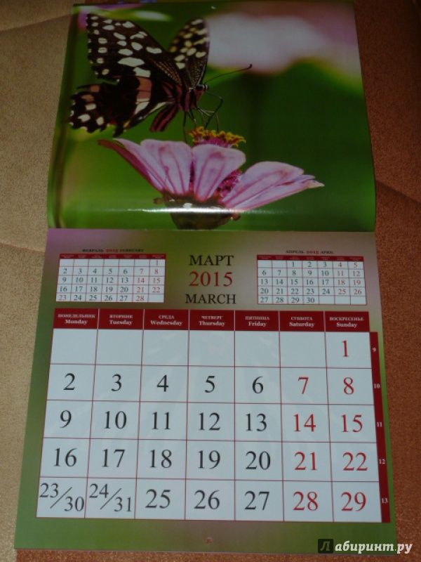 Иллюстрация 5 из 15 для Календарь 2015. Бабочки (12 листов) | Лабиринт - сувениры. Источник: elenak
