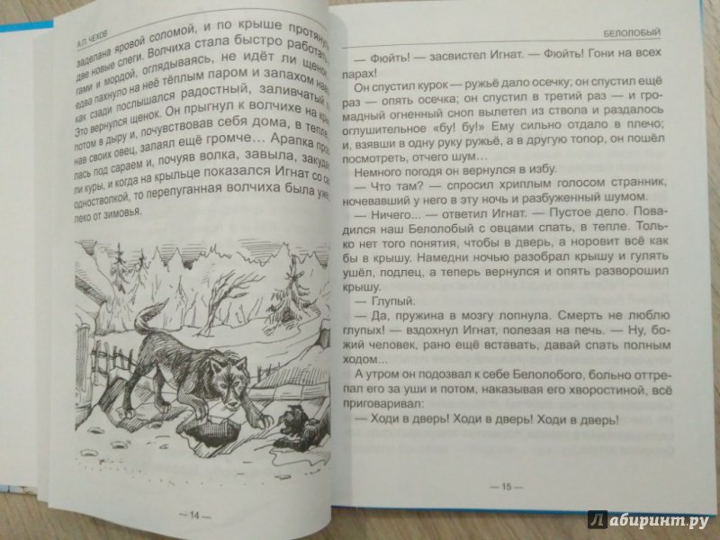 Иллюстрация 18 из 37 для Белолобый. Рассказы для детей - Антон Чехов | Лабиринт - книги. Источник: Тайна