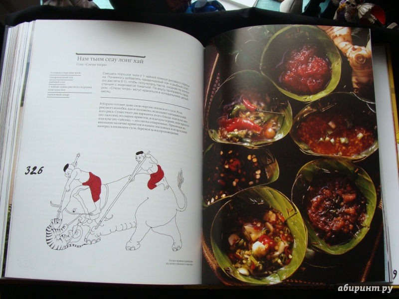 Иллюстрация 9 из 15 для Кухня Таиланда, или Путешествие в Страну свободных людей - Соломоник, Лазерсон, Синельников | Лабиринт - книги. Источник: Elizabeth Batori