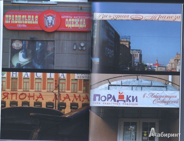 Иллюстрация 17 из 17 для Русский язык на грани нервного срыва. 3D (+DVD) - Максим Кронгауз | Лабиринт - книги. Источник: Протуберанец