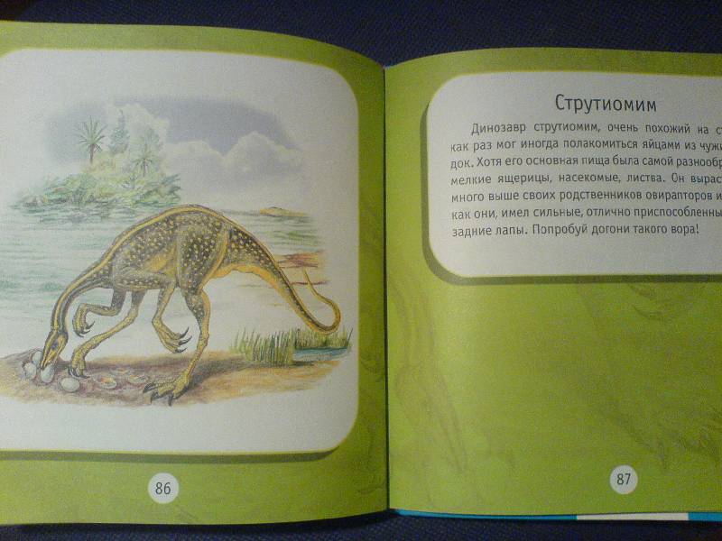 Иллюстрация 14 из 17 для Про динозавров - Мария Диденко | Лабиринт - книги. Источник: Киви
