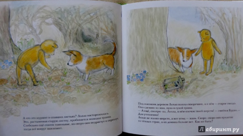 Иллюстрация 6 из 51 для Весна мишки Бруно - Гунилла Ингвес | Лабиринт - книги. Источник: Матти Суоми