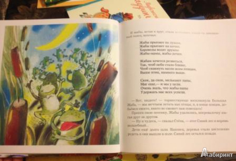 Иллюстрация 8 из 10 для О Стёпе, Варе и разных чудесах+CD - Генриэтта Хасина | Лабиринт - книги. Источник: Лаптева  Olessya