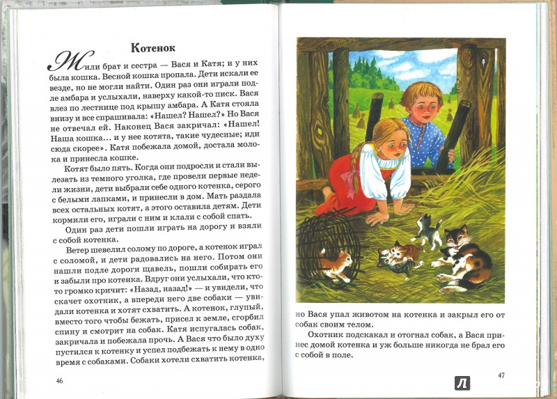 Иллюстрация 2 из 7 для Турчаночка. Книга рассказов | Лабиринт - книги. Источник: Марина Дубровская(Вишнякова)
