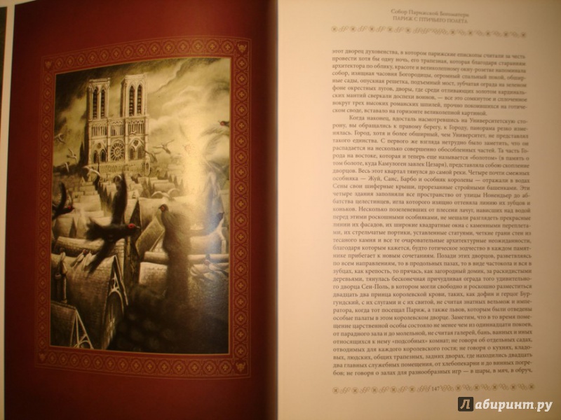 Иллюстрация 44 из 97 для Собор Парижской Богоматери - Виктор Гюго | Лабиринт - книги. Источник: Сорокина  Лариса
