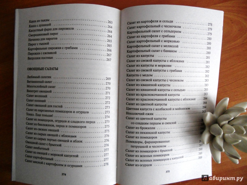 Иллюстрация 12 из 15 для Самые лучшие кулинарные рецепты от Октябрины Ганичкиной - Ганичкина, Ганичкин | Лабиринт - книги. Источник: Zabava