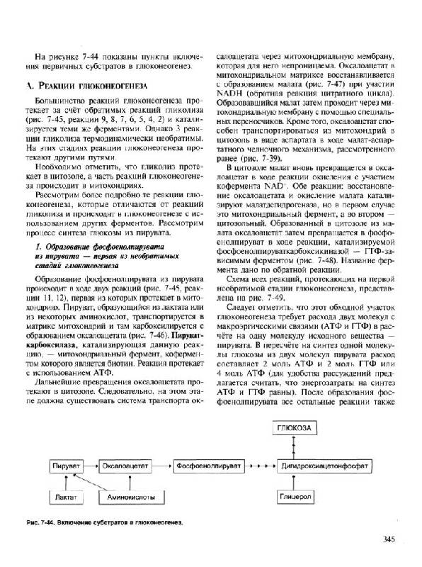 Иллюстрация 45 из 48 для Биохимия. Учебник - Авдеева, Алейникова, Андрианова | Лабиринт - книги. Источник: Юта