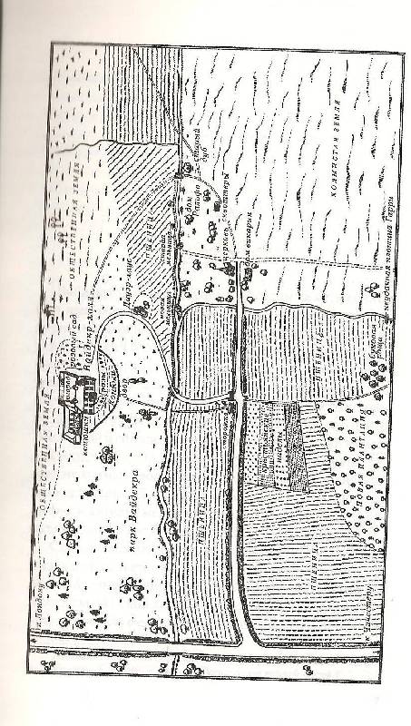 Иллюстрация 3 из 8 для Вайдекр, или Темная страсть - Филиппа Грегори | Лабиринт - книги. Источник: Sheks