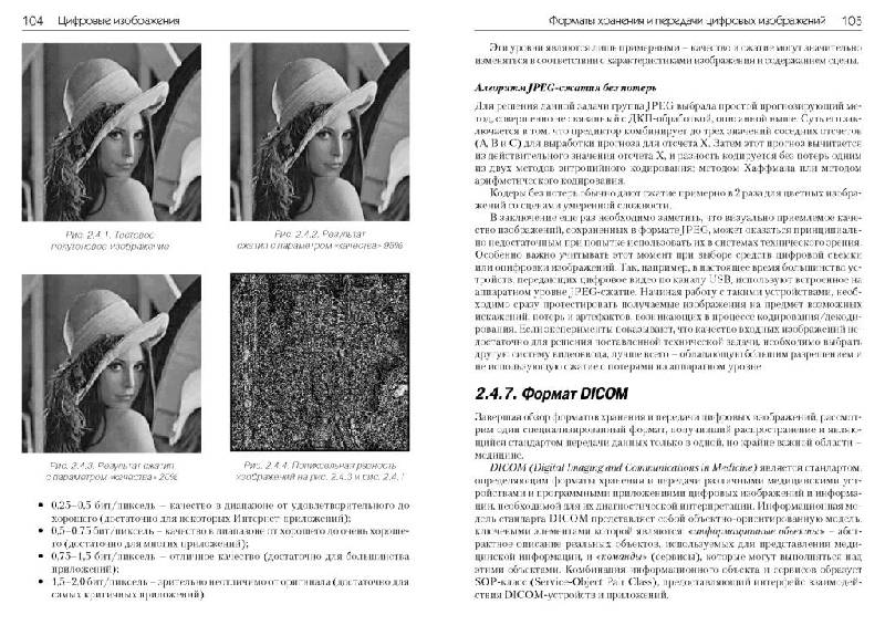 Иллюстрация 19 из 35 для Обработка и анализ цифровых изображений с примерами на LabVIEW и IMAQ Vision (+ DVD) - Визильтер, Желтов, Князь, Ходарев | Лабиринт - книги. Источник: Юта