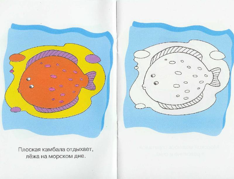Иллюстрация 6 из 7 для Посмотри и раскрась. Море | Лабиринт - книги. Источник: Torisia