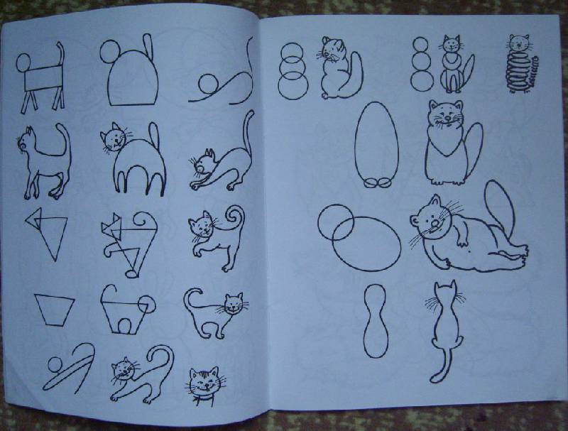 Иллюстрация 11 из 23 для Обучение детей дошкольного возраста рисованию животных по алгоритмическим схемам. ФГОС - Нелли Шайдурова | Лабиринт - книги. Источник: Tatka