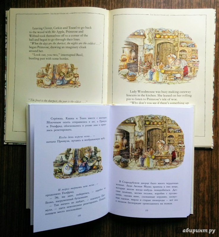 Иллюстрация 53 из 63 для Сказки и истории Ежевичной поляны - Джилл Барклем | Лабиринт - книги. Источник: Natalie Leigh