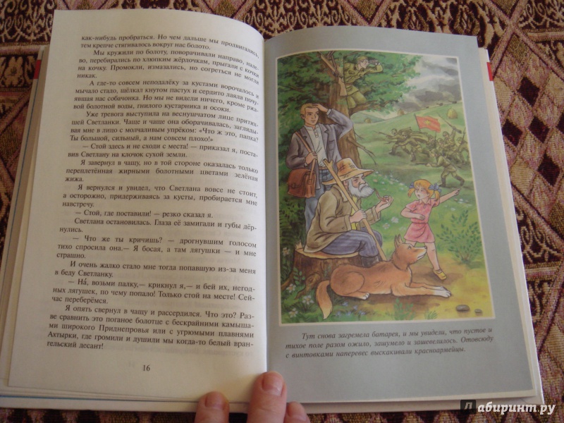 Иллюстрация 9 из 27 для Тимур и его команда - Аркадий Гайдар | Лабиринт - книги. Источник: Волкова  Алена