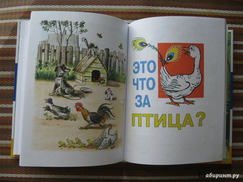Иллюстрация 33 из 165 для Сказки и картинки - Владимир Сутеев | Лабиринт - книги. Источник: Лабиринт