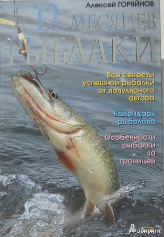 Иллюстрация 2 из 7 для 12 месяцев рыбалки - Алексей Горяйнов | Лабиринт - книги. Источник: Большой любитель книг