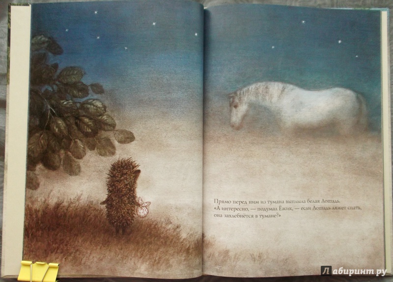 Иллюстрация 11 из 83 для Ежик в тумане - Козлов, Норштейн | Лабиринт - книги. Источник: Агаточка