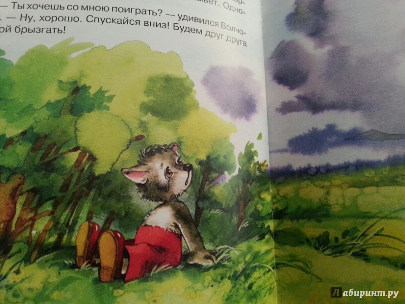 Иллюстрация 19 из 22 для Про маленького волчонка - Дмитрий Харченко | Лабиринт - книги. Источник: Ангелина
