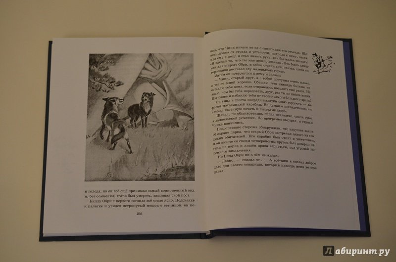 Иллюстрация 38 из 56 для Рассказы о животных. Часть 2 - Эрнест Сетон-Томпсон | Лабиринт - книги. Источник: R.O.S.S.