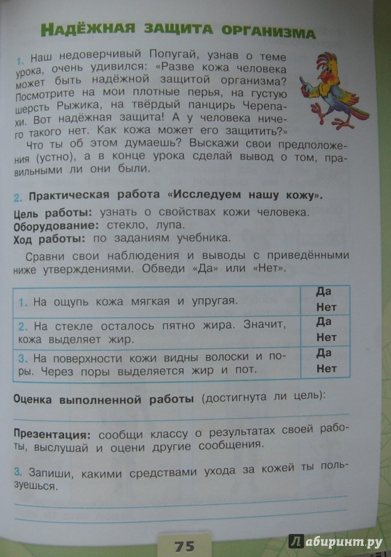 Иллюстрация 15 из 41 для Окружающий мир. 3 класс. Рабочая тетрадь. Учебное пособие в 2-х частях. ФГОС - Андрей Плешаков | Лабиринт - книги. Источник: Соловьев  Владимир