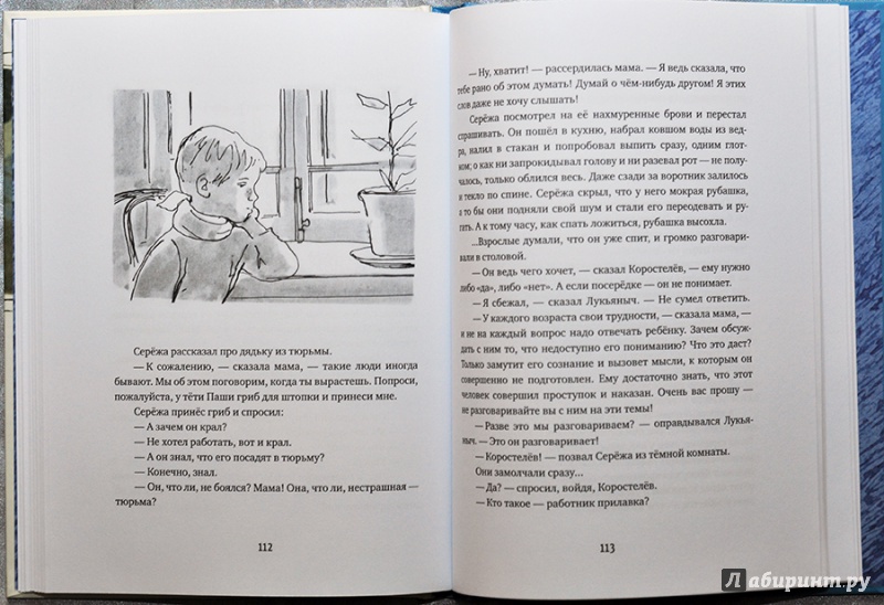 Иллюстрация 53 из 79 для Сережа. Несколько историй из жизни очень маленького мальчика - Вера Панова | Лабиринт - книги. Источник: Раскова  Юлия