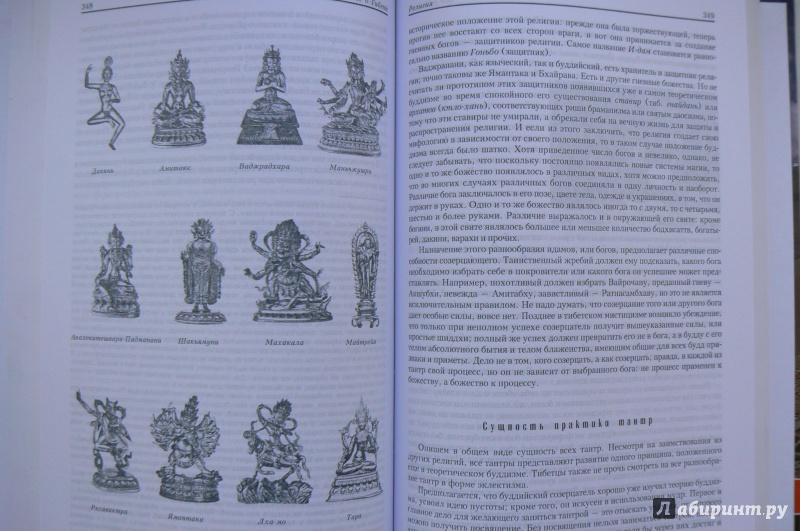 Иллюстрация 7 из 8 для Все о Тибете. Природа, религия, традиция - Царева, Кюнер, Мак-Говерн | Лабиринт - книги. Источник: Марина
