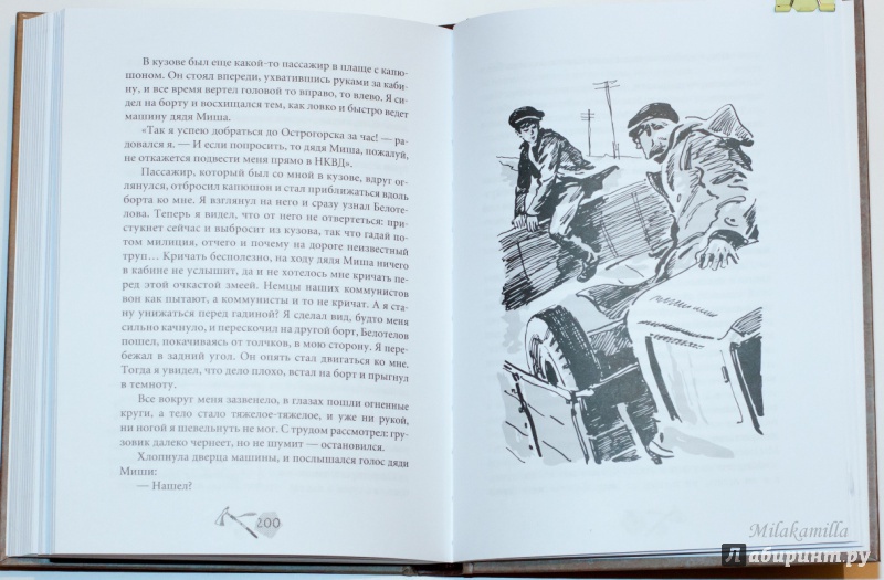 Иллюстрация 45 из 58 для Тайна золотой долины - Василий Клепов | Лабиринт - книги. Источник: Букландия