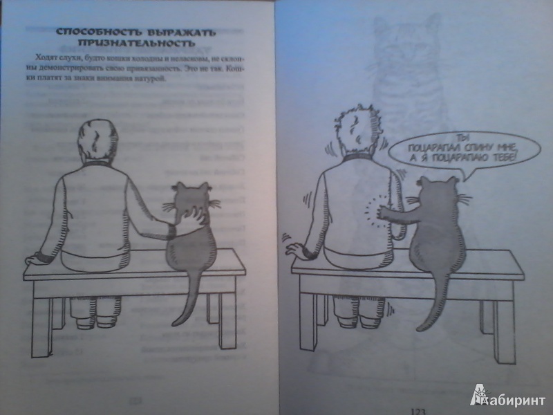 Иллюстрация 8 из 35 для Как жить с кошкой-невротиком - Стивен Бейкер | Лабиринт - книги. Источник: ЕкаШапка