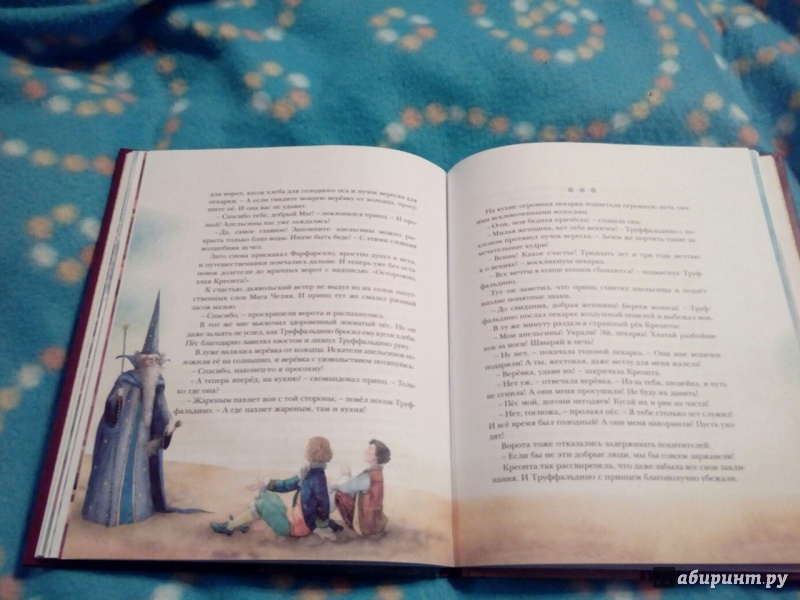 Иллюстрация 18 из 28 для Волшебная флейта | Лабиринт - книги. Источник: Доронина  Елена Юрьевна